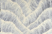 Sand Dunes